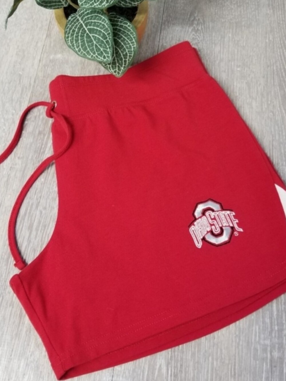 Ohio State shorts
